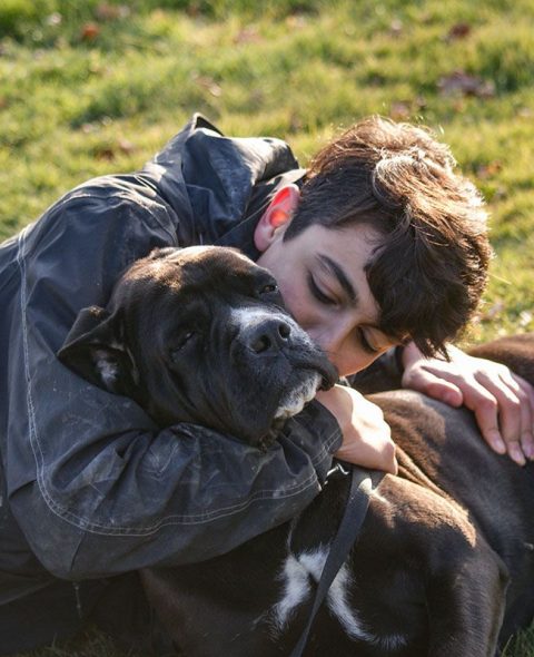 centre canin et jeunesse